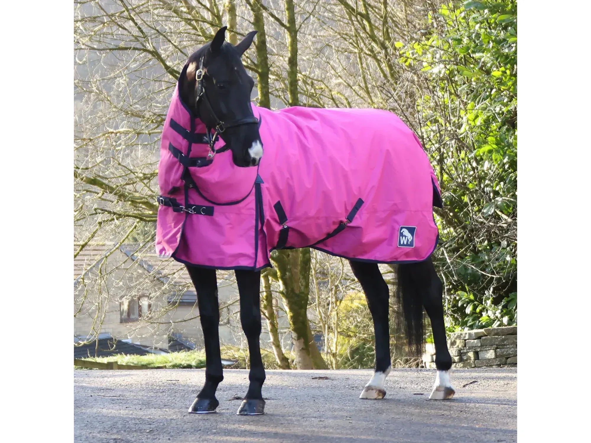 Whitaker W-Horse 150g Combo Turnout - Pink Limited Edition