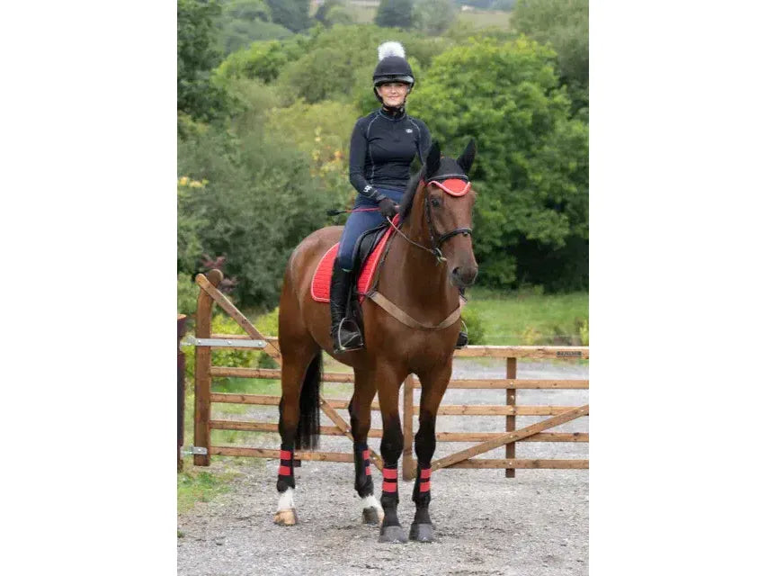 Woof Wear Club Brushing Boot