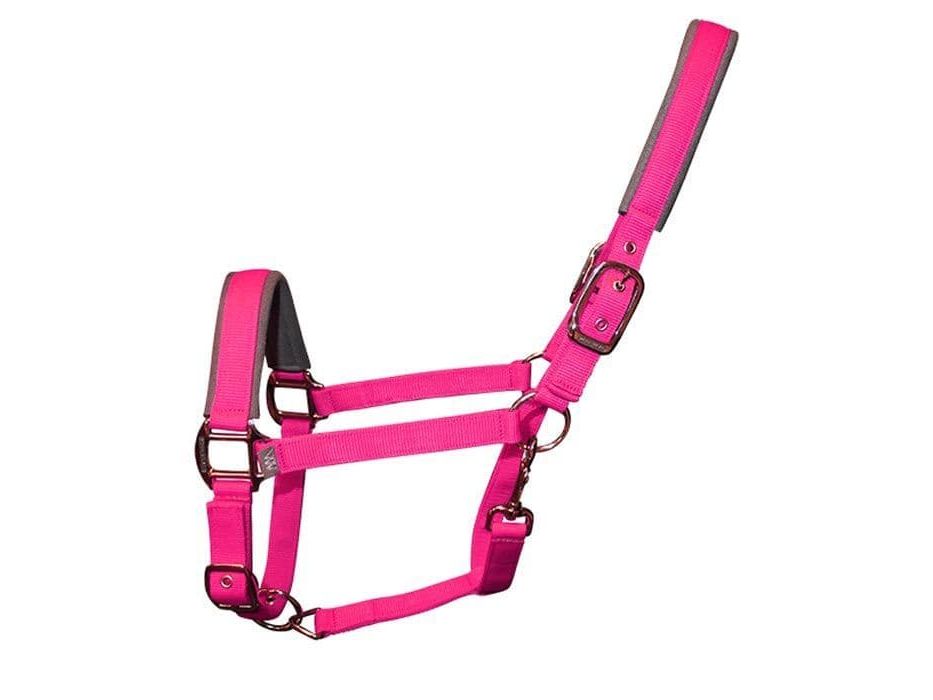 Woof Wear Contour Head Collar