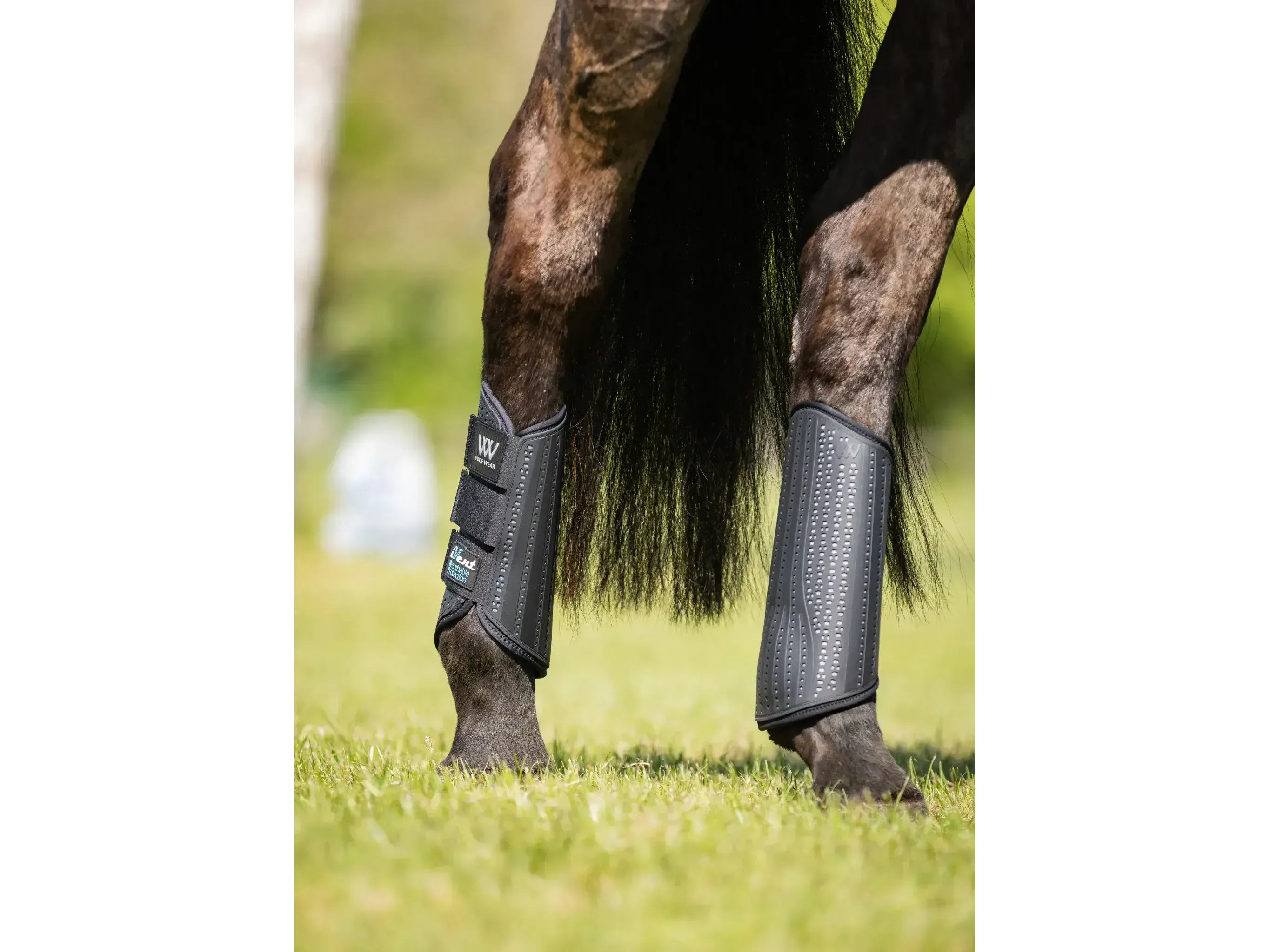 Woof Wear iVent Event Boot Hind