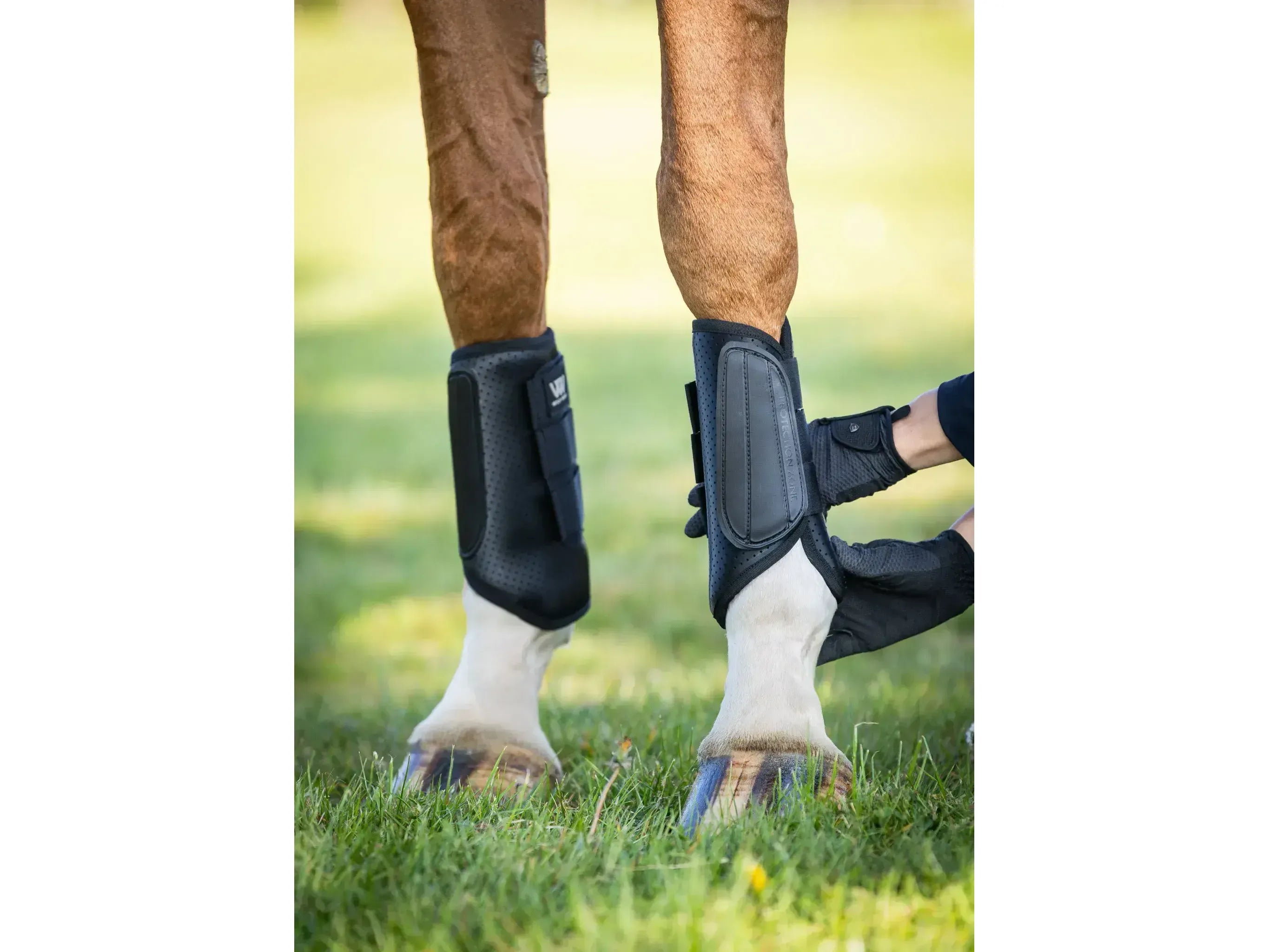 Woof Wear Pro Event Boot - Front