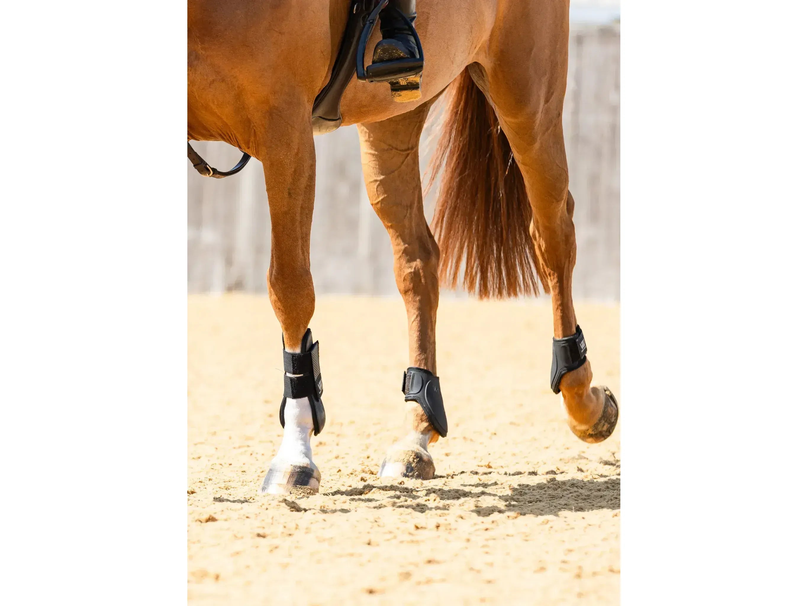 Woof Wear Pro Fetlock Boot