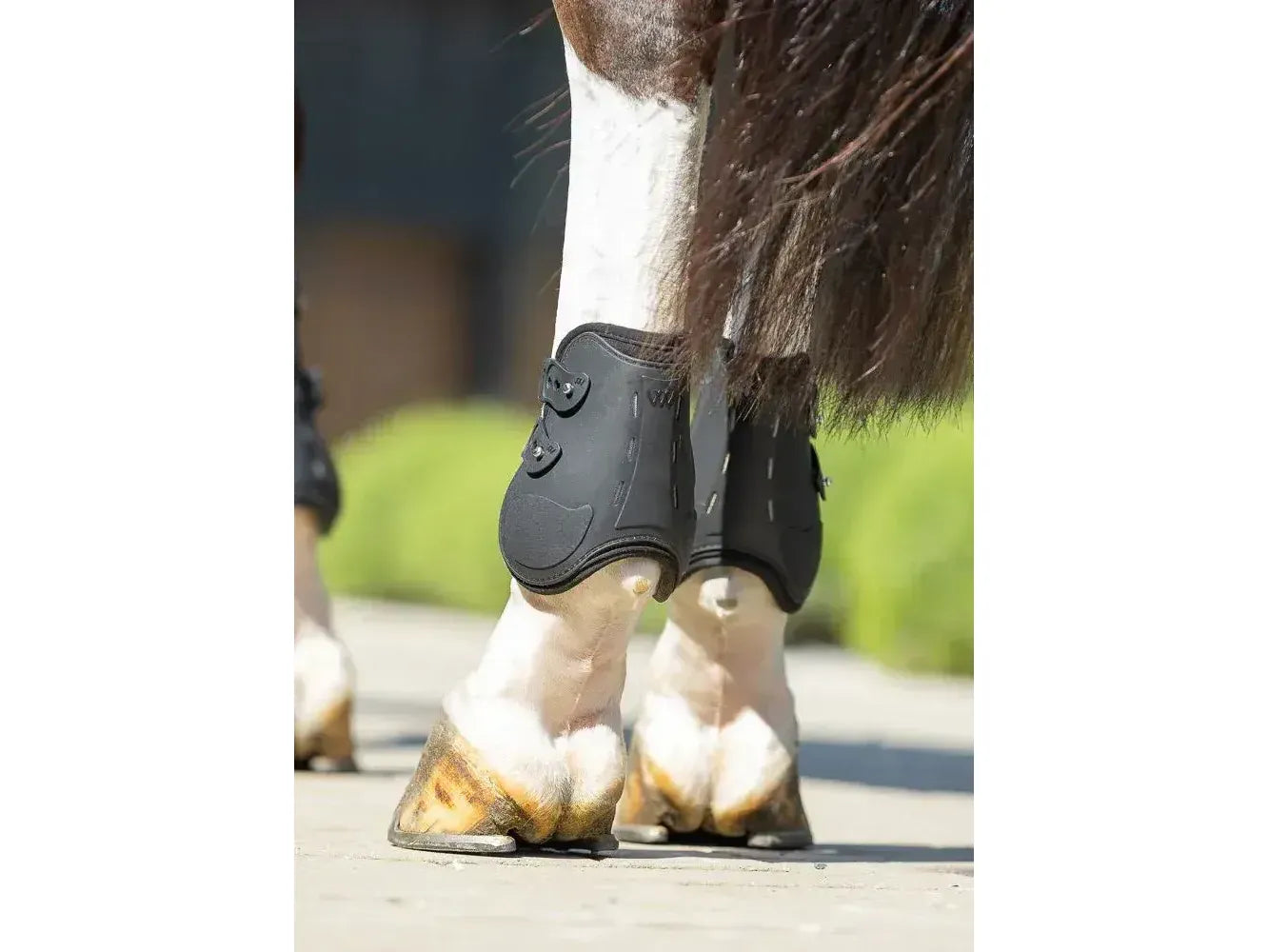 Woof Wear Vision Elegance Fetlock Boot